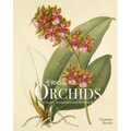 Rhs Orchids