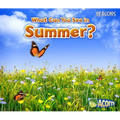 What Can You See in Summer?