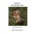 Rocky the Baby Owl