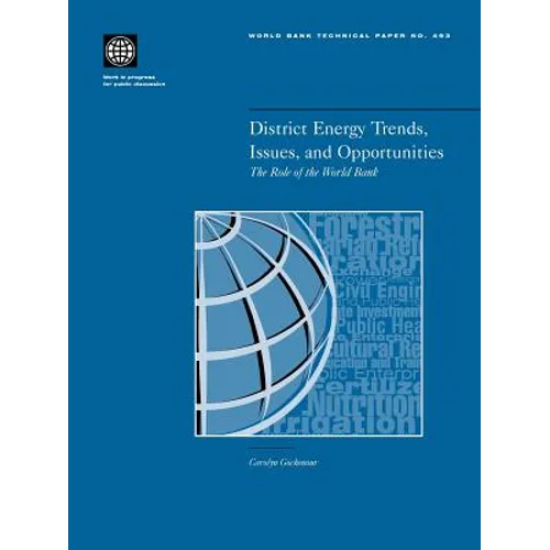 District Energy Trends, Issues, and Opportunities: The Role of the World Bank