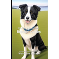 It's Time to Learn about Border Collies