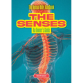 The Senses: An Owner's Guide
