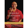 Turning Confusion Into Clarity: A Guide to the Foundation Practices of Tibetan Buddhism