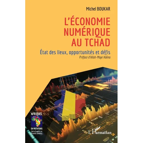 L'économie numérique au Tchad: État des lieux, opportunités et défis