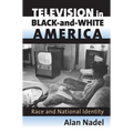 Television in Black-And-White America: Race and National Identity