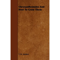 Chrysanthemums and How to Grow Them
