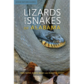 Lizards and Snakes of Alabama