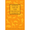 Animal Life in the Tropical Forests