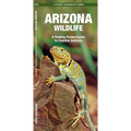 Arizona Wildlife: A Folding Pocket Guide to Familiar Animals