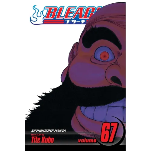 Bleach, Vol. 67