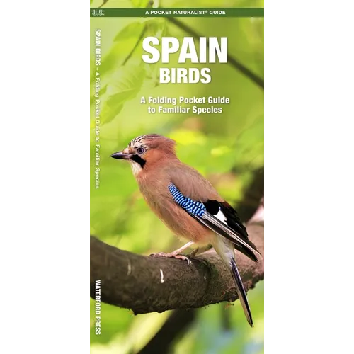 Spain Birds: A Folding Pocket Guide to Familiar Species