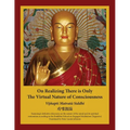 On Realizing There is Only the Virtual Nature of Consciousness: An English Translation of Xuánzàng's Vijñapti Matratā Siddhi