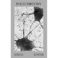 Polychotomy