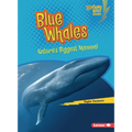 Blue Whales: Nature's Biggest Mammal