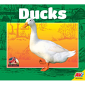 Ducks