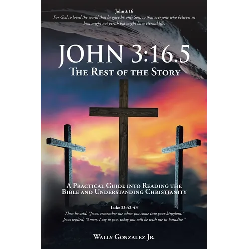 John 3: 16.5: The Rest of the Story: A Practical Guide into Reading the Bible and Understanding Christianity