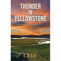 Thunder in Yellowstone: A contemporary literary novel