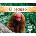 El Cacajao (Uakari)