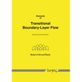 Elements of Transitional Boundary-Layer Flow