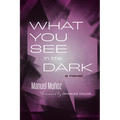 What You See in the Dark