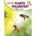 How Are Plants Pollinated?