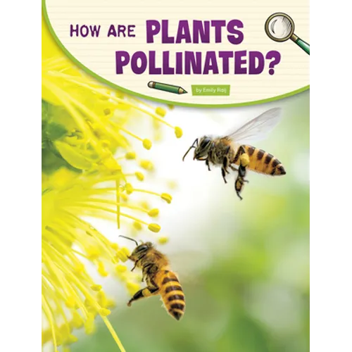 How Are Plants Pollinated?