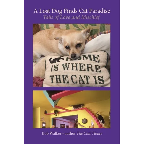 A Lost Dog Finds Cat Paradise - Hardcover