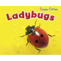 Ladybugs