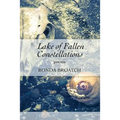 Lake of Fallen Constellations