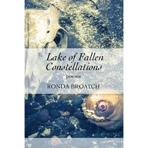 Lake of Fallen Constellations