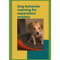 Dog behavior training for separation anxiety