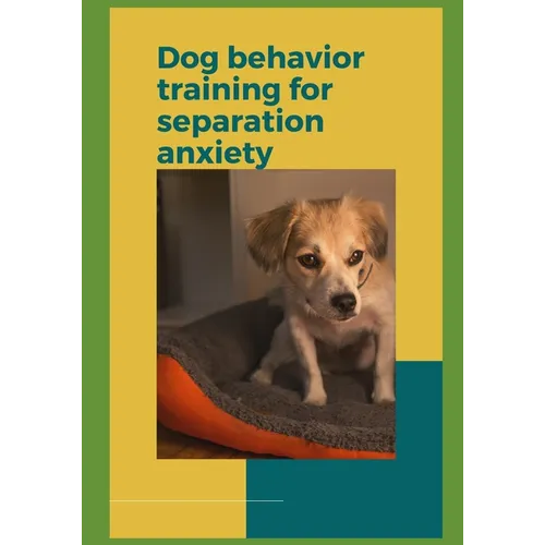 Dog behavior training for separation anxiety