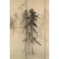 Black Trees