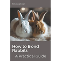 How to Bond Rabbits: A Practical Guide