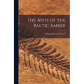 The Ants of the Baltic Amber