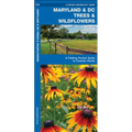 Maryland & DC Trees & Wildflowers: A Folding Pocket Guide to Familiar Plants