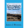 Collecting Fossils Between Whitby And Sandsend.: A Beginner's Guide.