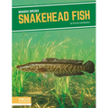 Snakehead Fish