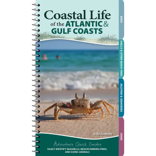 Coastal Life of the Atlantic and Gulf Coasts: Easily Identify Seashells, Beachcombing Finds, and Iconic Animals