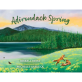 Adirondack Spring