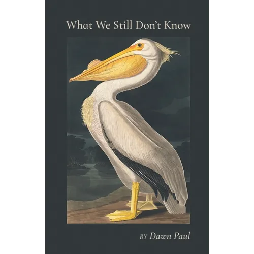What We Still Don't Know