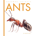 Ants