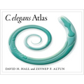 C. Elegans Atlas