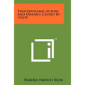 Photodynamic Action And Diseases Caused By Light