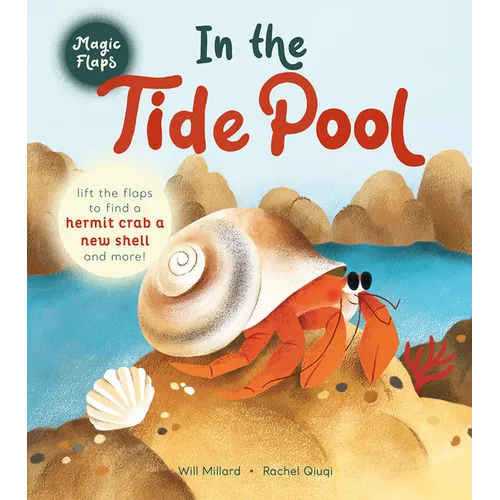 In the Tide Pool: A Magic Flaps Book