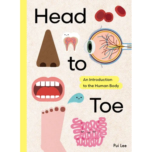 Head to Toe: An Introduction to the Human Body