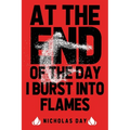 At The End Of The Day I Burst Into Flames
