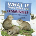 What If There Were No Lemmings?: A Book about the Tundra Ecosystem