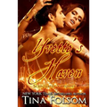 Yvette's Haven (Scanguards Vampires #4)
