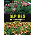 Alpines: An Essential Guide